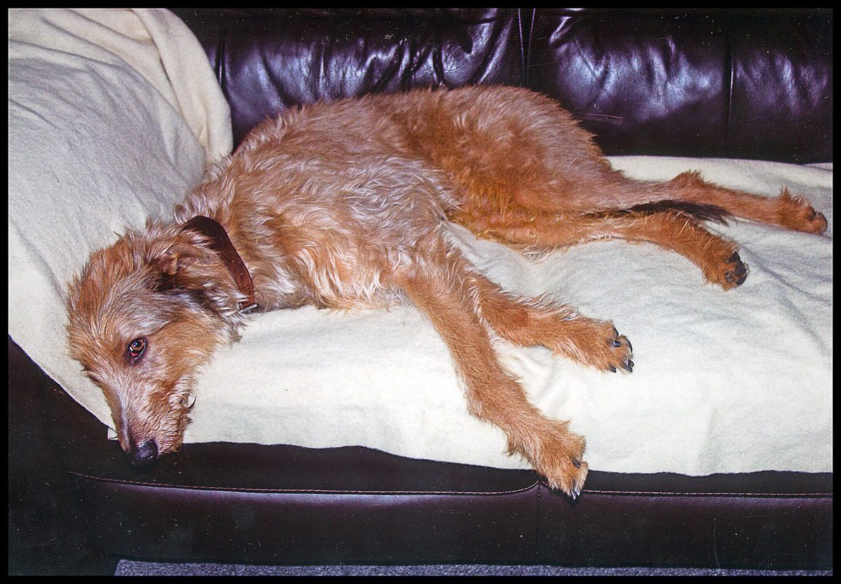 Second - Noel Martin